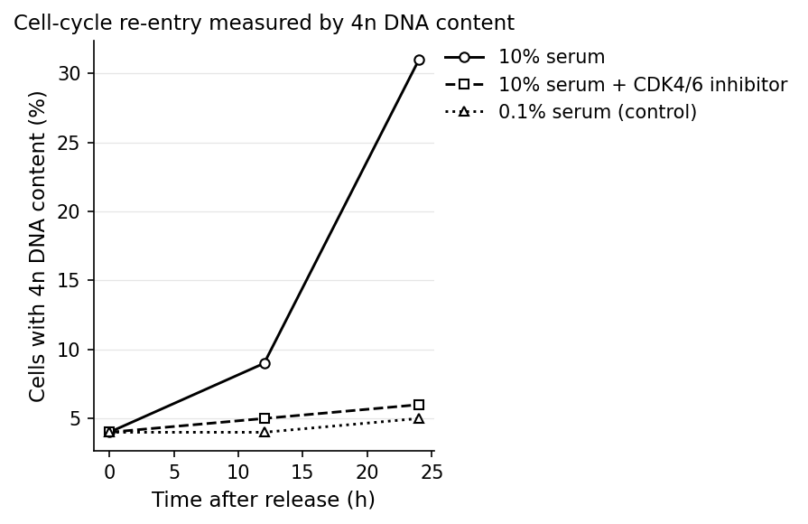 Bar chart of the percentage of cells with 4n DNA content at 0, 12, and 24 hours after release from serum starvation, for three treatments: 10% serum, 10% serum plus CDK4/6 inhibitor, and a 0.1% serum control.